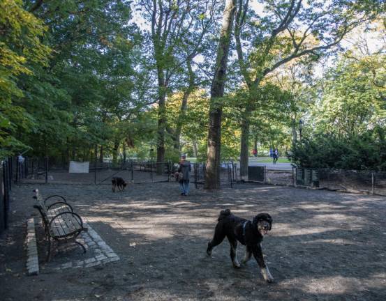 Dog Run 87: What’s in a name?