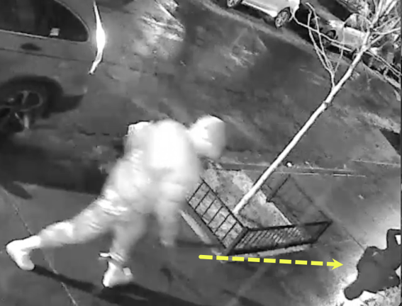 Machete man in West Village carjacking reacts to shadow.