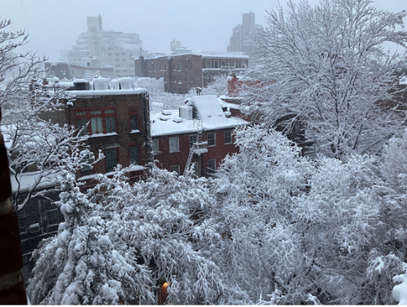 New Yorkers awoke to a winter wonderland on Feb. 23 even as the storm continued to swirl eventually dumping 19.7 inches of snow in Central Park.