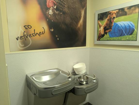 Petco water fountain with bowls for animals.