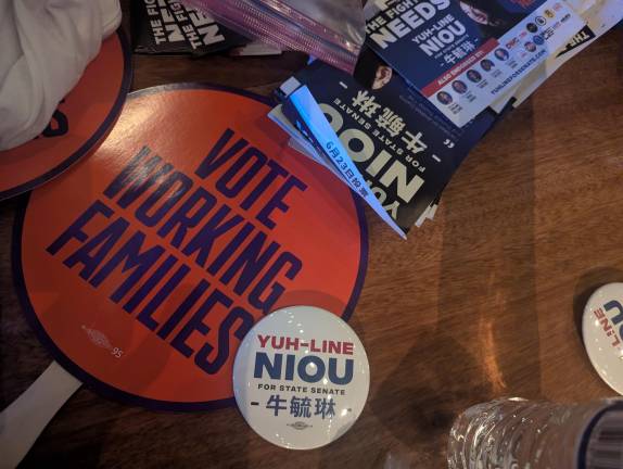 Yuh-Line Niou campaign advertising materials.