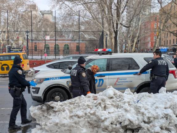 Presumed homeless man being taken into custody at Sara D. Roosevelt Park, Feb. 6.