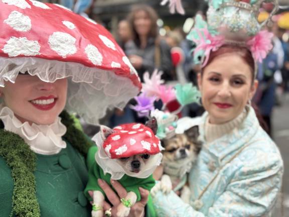 Two friends decked out their chihuahuas in outfits that matched their own.