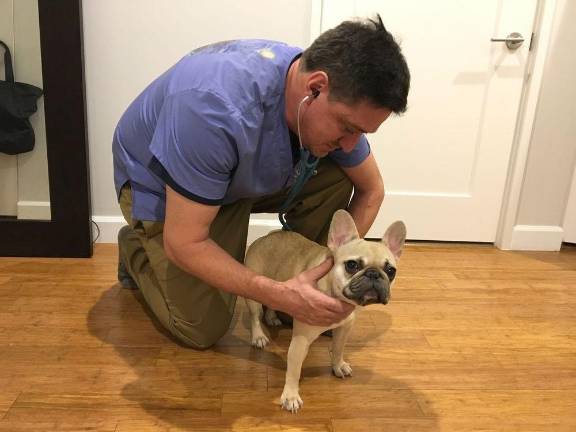 For Jonathan Leshanski, DVM of At Home Veterinary, people taking in pets during the pandemic “has been a joyous thing.” Photo courtesy of Jonathan Leshanski