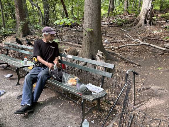 A raccoon rises onto its hind legs near Israel Ortiz in Central Park West.