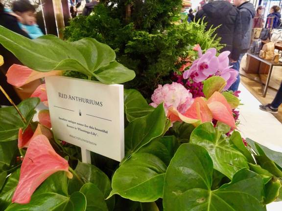Spring has bloomed ... at Macy’s Herald Square. The store’s 44th annual flower show, “Once Upon a Springtime,” attracts hundreds each day. Photo: Clarrie Feinstein