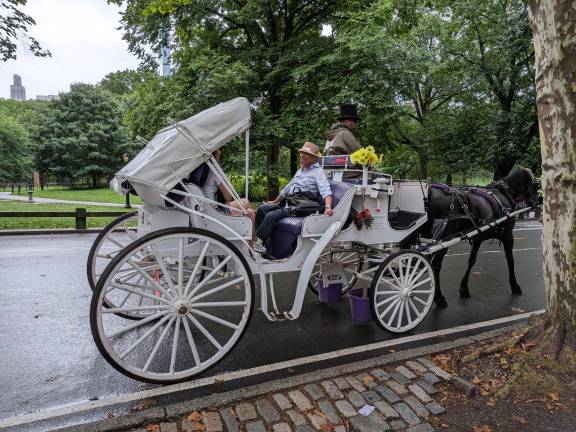 Tourists enjoy a horse carriage ride despite the recent death of Romanch.