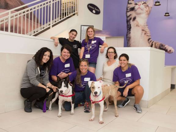 There are volunteer opportunities at Animal Haven. Photo courtesy of Animal Haven
