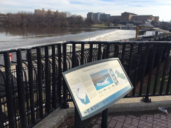 Fairmount Dam Fishway on the Schuylkill River, Philadelphia Museum of Art in the distance.