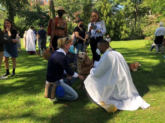 Father Paul Daniels blesses a dog at the Feast of St. Francis. Photo: Gabriella Ferrigine