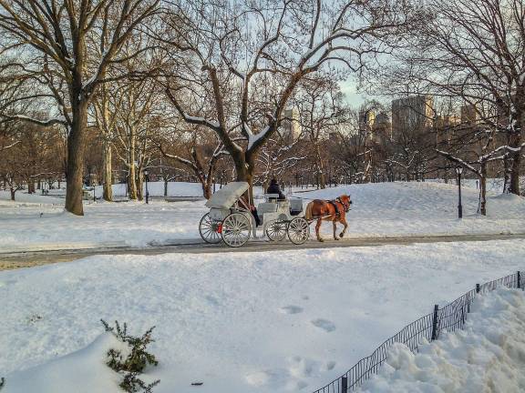 Mayor Eric Adams has joined the chorus of voices demanding a carriage horse ban.