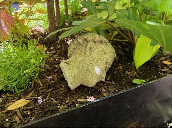 The head from a statue of St. Anthony of Padua was found on steps outside St. John the Baptist R.C. Church in Chelsea. A vandal, captured on surveillance video, struck around 4 a.m. on June 9.