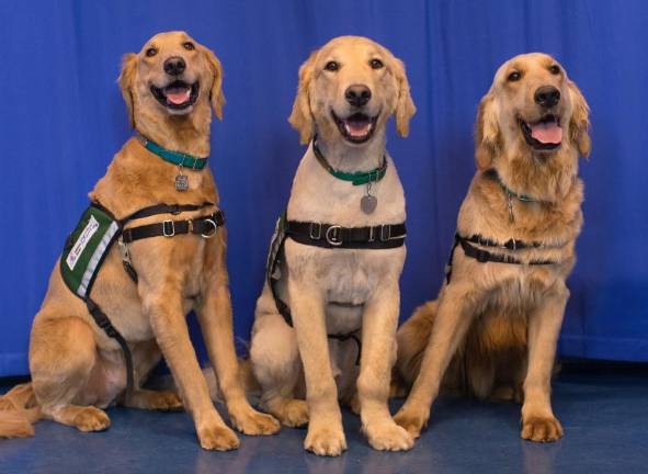 The Paws &amp; Play team. (Photo: Mount Sinai Kravis Children’s Hospital)