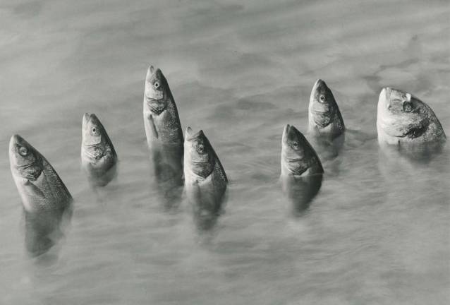 "Imagen Místical," Flor Garduño, 2005. Gelatin Silver Print, 16 x 20 in. Photo: Throckmorton Fine Art