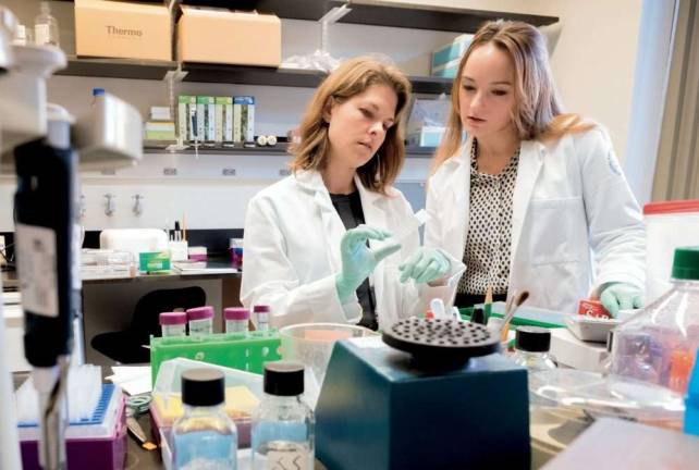 Research assistant professor Erin Norris (left) and graduate student Anna Amelianchik at work in Sidney Strickland&#x2019;s lab. Photo: Mario Morgado