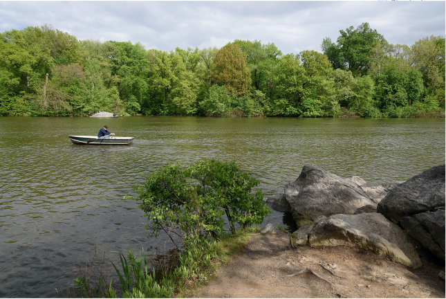 The Lake of Central Park, with a person pictured on a rented boat.