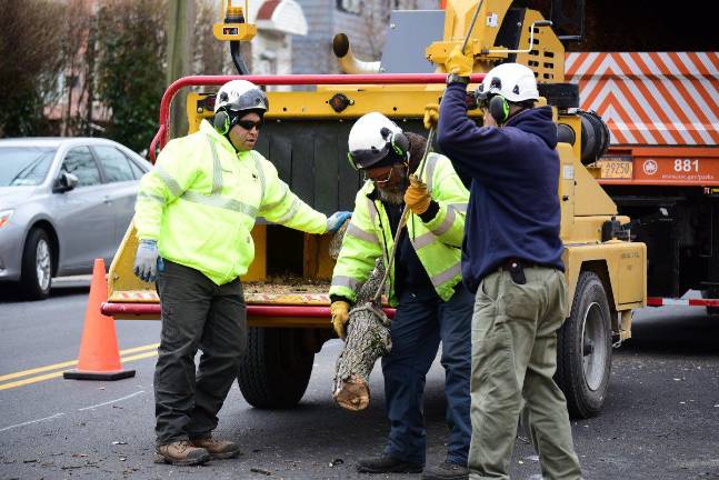 NYC Parks’ forestry crew set out to clean up the damage left from a thunderstorm Saturday, June 6, including parts of trees that had fallen due to strong winds and rain. (Credit: NYC Parks)