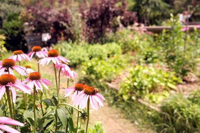 Inside the Elizabeth Street Garden on 211 Elizabeth Street. Photo: Beau Matic.