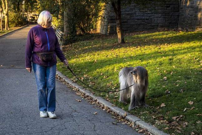 Weight-bearing exercise like walking can reduce the risk of fractures. Photo: Steven Strasser