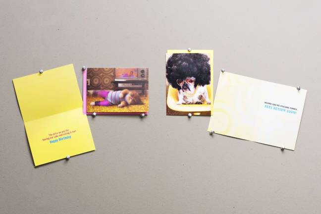 Avanti Press, 2017 LOUIE Award-nominated cards: Exercise Cat, and The Pug in the Afro Wig. Photo: Ryan Segedi