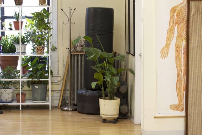 Soho Acupuncture Center. Photo: Susan Marque