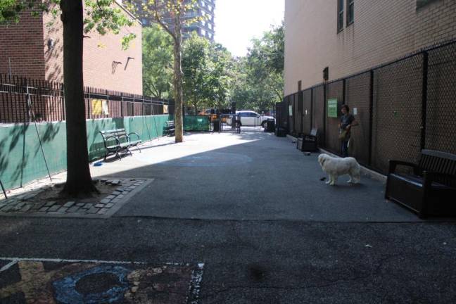 Full view of the temporary dog run in Penn South with a dog and owner off to the side. Photo: Gaby Messino