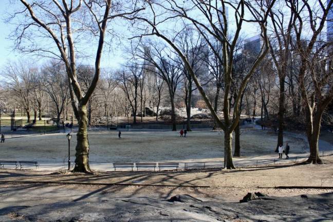 Central Park in late February. Photo: Meryl Phair