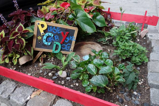 A message to dog owners in Chelsea. Photo: Deborah Fenker