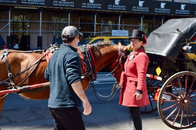 Horse-drawn carriage driver Christina Hansen said a ban on cars in Central Park would improve safety, noting that bike-renting tourists are often unaware that cars drive through the park. Photo: Clarrie Feinstein