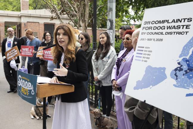 Menin says that “The Council is as eager as golden retrievers to tackle this issue.”