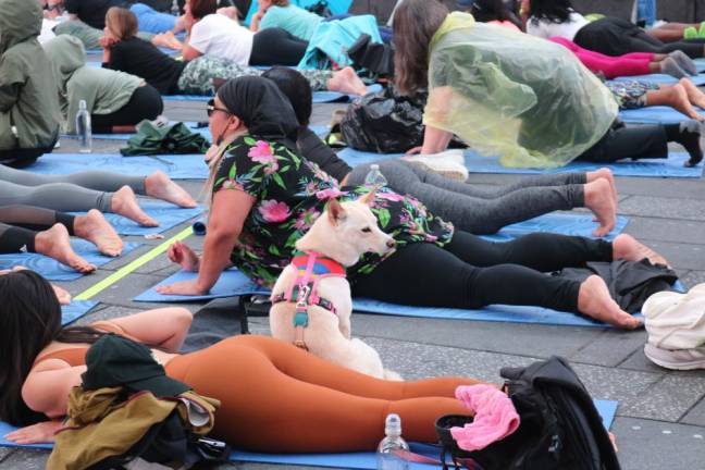 Activewear brand Gaiam sponsored this year’s Solstice in Times Square, and provided all registered guests with mats to use and take home. Here, an upward facing dog. Photo: Zoey Lyttle