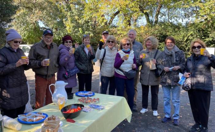 One + One Walk picnic in cooler days. Photo courtesy of Carnegie Hill Village