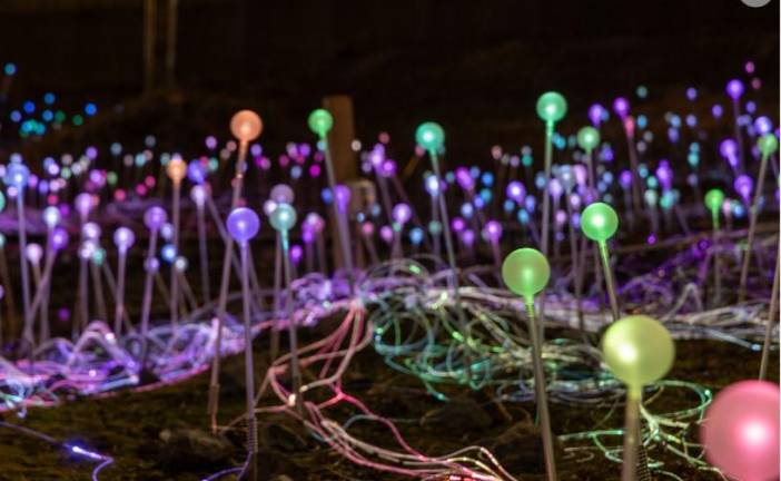 There are over 18,000 light bulbs over a 6.9 acre plot on the East Side between First Ave. and the FDR Drive just south of the United Nations HQ. Photo: Field of Light/Bruce Munro