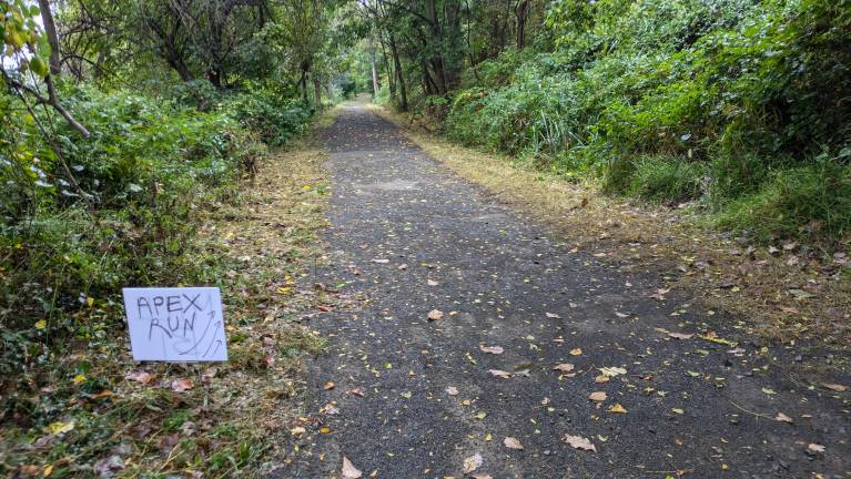A trail in the Staten Island Greenbelt.