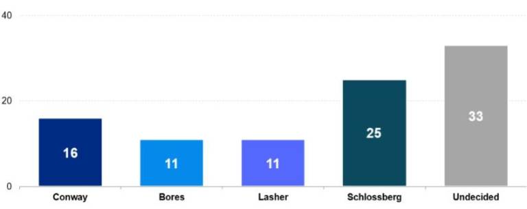 It is still a wide open field in New York’s 12 Congressional district with the biggest block of likely Democratic party voters, 33 percent, still undecided according to a poll conducted by the George Conway campaign. The poll which has him in second, trailing Jack Schlossberg.