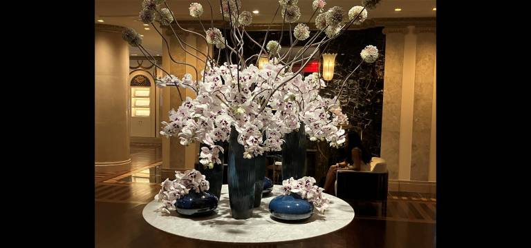 An astonishingly beautiful orchid arrangement in the Waldorf Astoria’s Peacock Alley.