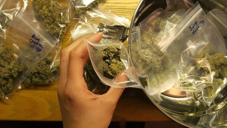 Downtown dealer Dr. Jums' weed stash currently comprises two strains: Juicy Fruit and Blue Cheese. Photo: Diamond Naga Siu
