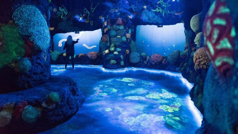 Visitors to “National Geographic Encounter: Ocean Odyssey” at Times Square. Photo: National Geographic Encounter