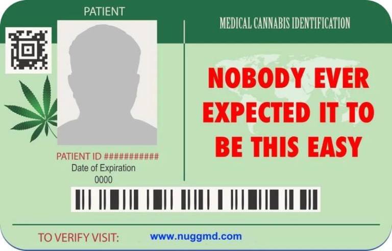 $!Finally Access a State-Approved NY Cannabis Doctor Almost Anywhere with NuggMD