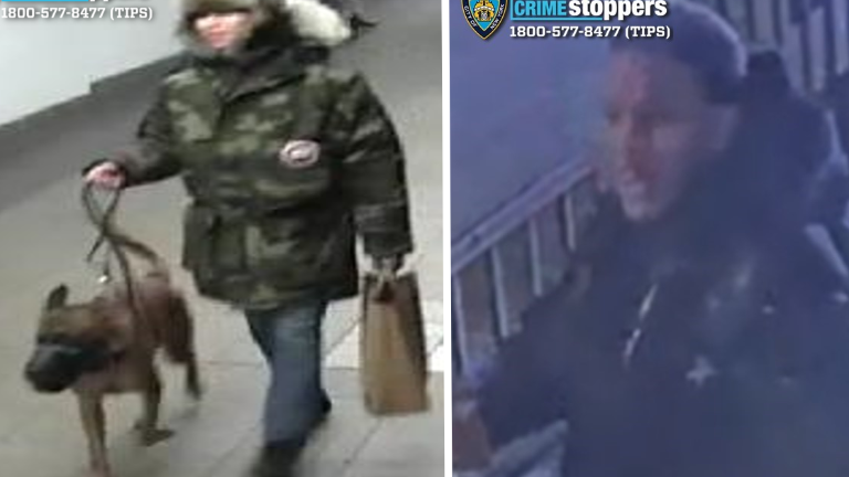 Wanted for dog attack (left) at Union Square, stabbing at Broadway-Lafayette (right).