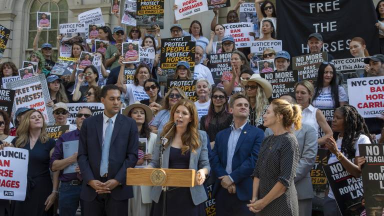 The NY City Council’s Committee of Health held its first contentious hearing for “Romanch’s Law,” which would ban horse carriages in Central Park if passed, July 15.