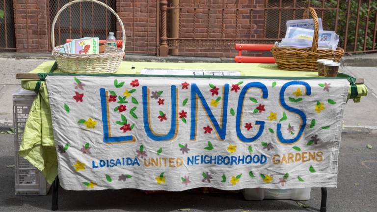 Tabling of LUNGS organization (Loisaida United Neighborhood Gardens) on 8th Street and Avenue B.