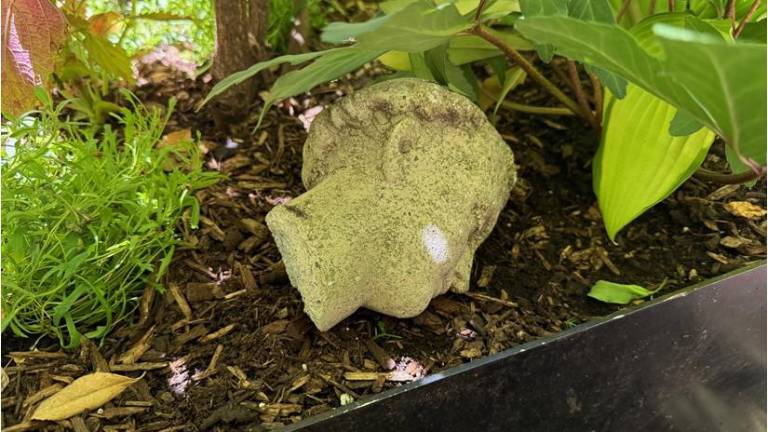 The head from a statue of St. Anthony of Padua was found on steps outside St. John the Baptist R.C. Church in Chelsea. A vandal, captured on surveillance video, struck around 4 a.m. on June 9.