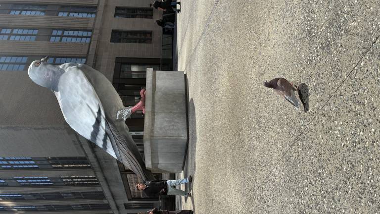 ”Dinosaur” by Iván Argote, the towering pigeon statute on The High Line, is eyed by one of its living counterparts during a recent visit to the sculpture by Straus News.