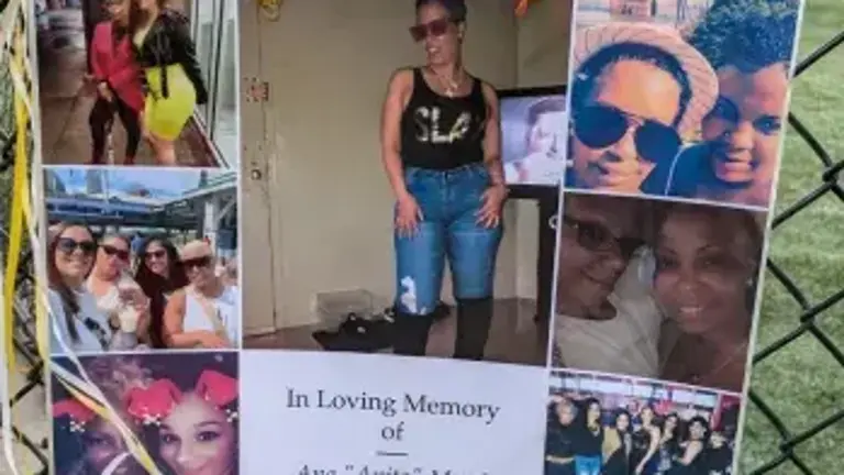 Memorial collage for Ana “Anita” Morel, murdered by the Corlears Hook Park Car Crash Killer.