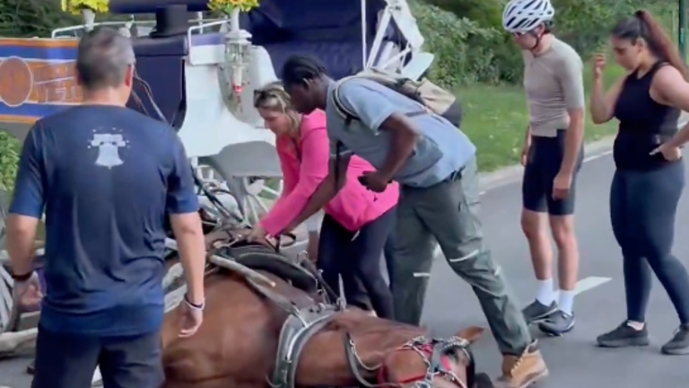 A carriage horse named Deniz collapsed and died in Central Park on June 9, leading to renewed calls to ban the carriage trade in New York City entirely.